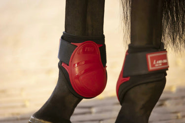 Lami-Cell Elite - Fetlock And Tendon Boots Set