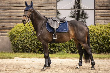 Lami-Cell Galaxy Velvet Saddle Pad| Online For Equine