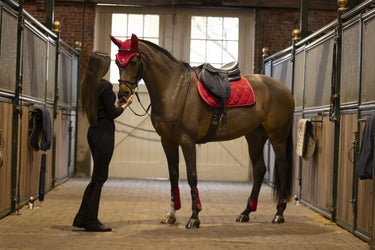 Lami-Cell Luxin Saddle Pad| Online For Equine