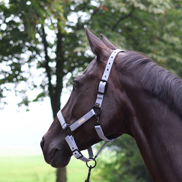 Lami-Cell Midnight Headcollar| Online For Equine