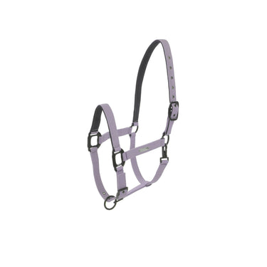 Lami-Cell Midnight Headcollar| Online For Equine