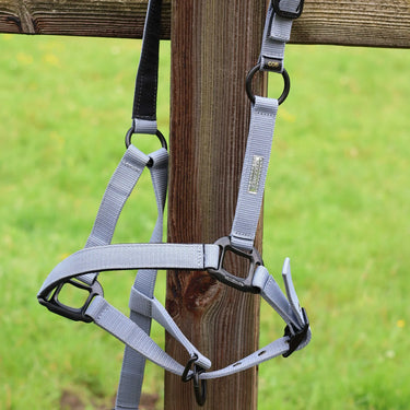 Lami-Cell Midnight Headcollar| Online For Equine
