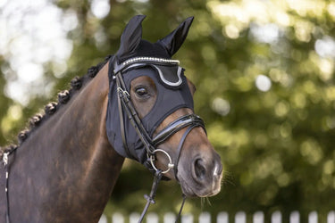 Buy Lami-Cell Titanium Earless Hood | Online for Equine