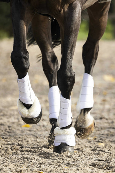 Lami-Cell V22 Brushing Boots - Closed Tendon Boots