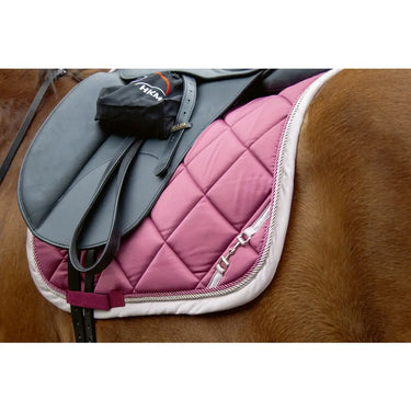 Buy Lauria Garelli Golden Gate Bit Design Saddlecloth| Online for Equine