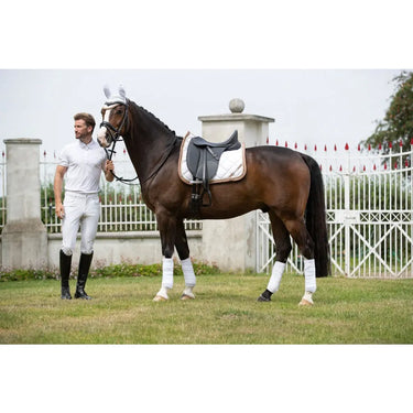 Buy Lauria Garelli Golden Gate Bit Design Saddlecloth| Online for Equine