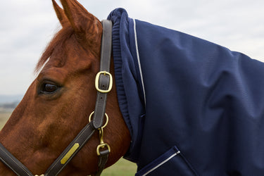 Weatherbeeta Comfitec Ultra Turnout Detach-A-Neck 100G Navy