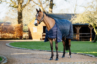 LeMieux 100g Rug Liner| Online For Equine