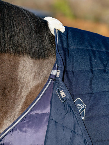 LeMieux 100g Rug Liner| Online For Equine