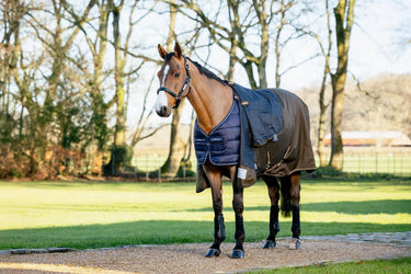 LeMieux 100g Rug Liner| Online For Equine