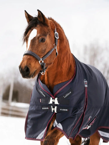 LeMieux 200g Kudos Turnout Rug Navy| Online For Equine