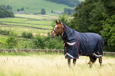LeMieux 300g Kudos Thermo Layer Turnout Rug Navy| Online For Equine