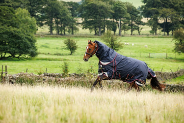 LeMieux 300g Kudos Thermo Layer Turnout Rug Navy| Online For Equine