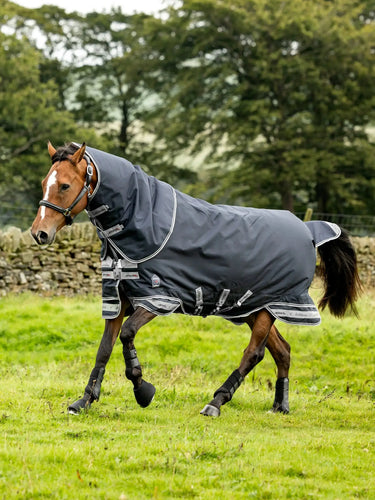 LeMieux 350g Arika Storm-Tek Rug Navy| Online For Equine