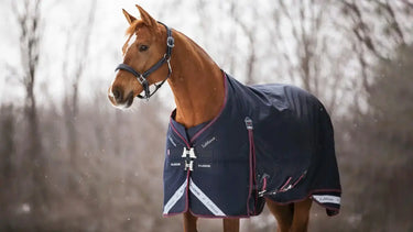 LeMieux 350g Kudos Turnout Rug Navy| Online For Equine
