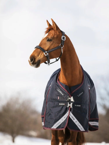 LeMieux 350g Kudos Turnout Rug Navy| Online For Equine