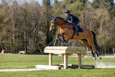 LeMieux 3D Mesh Self-Cool Eurojump Square Navy| Online For Equine