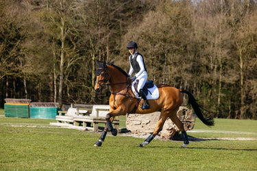 LeMieux 3D Mesh Self-Cool Eurojump Square White| Online For Equine