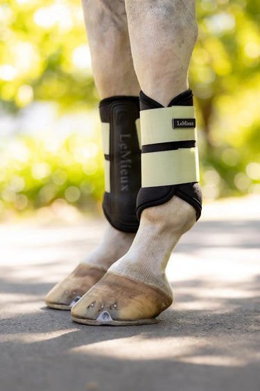 LeMieux Air-Tek Grafter Brushing Boots Macaron| Online For Equine