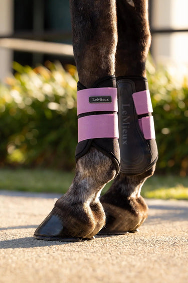 LeMieux Air-Tek Grafter Brushing Boots Mallow| Online For Equine