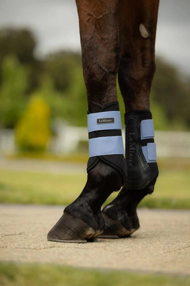LeMieux Air-Tek Grafter Brushing Boots Powder Blue| Online For Equine
