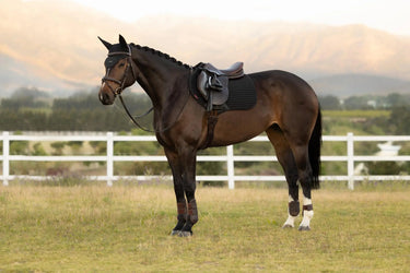LeMieux Air-Tek Mesh Close Contact Square Black| Online For Equine
