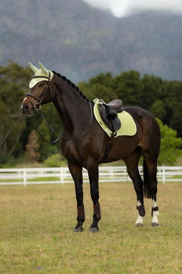 LeMieux Air-Tek Mesh Close Contact Square Macaron| Online For Equine