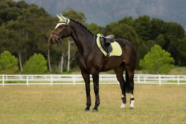 LeMieux Air-Tek Mesh Close Contact Square Macaron| Online For Equine