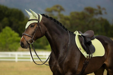 LeMieux Air-Tek Mesh Close Contact Square Macaron| Online For Equine