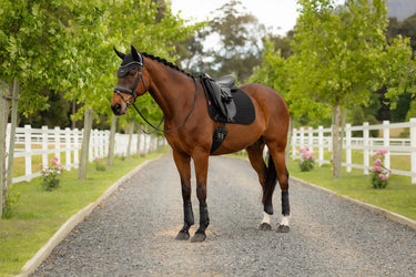 LeMieux Air-Tek Mesh Dressage Square Black| Online For Equine