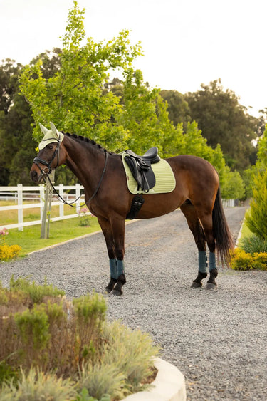 LeMieux Air-Tek Mesh Dressage Square Macaron| Online For Equine