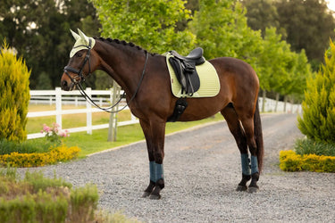 LeMieux Air-Tek Mesh Dressage Square Macaron| Online For Equine