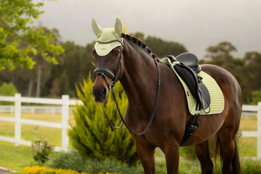 LeMieux Air-Tek Mesh Dressage Square Macaron| Online For Equine
