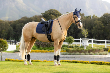 LeMieux Air-Tek Mesh Dressage Square Shadow| Online For Equine