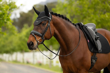 LeMieux Air-Tek Mesh Fly Hood Black| Online For Equine