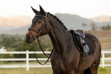 LeMieux Air-Tek Mesh Fly Hood Black| Online For Equine
