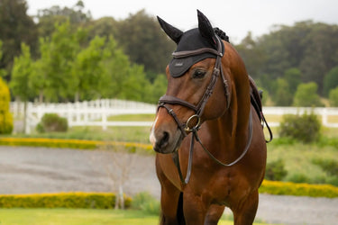 LeMieux Air-Tek Mesh Fly Hood Black| Online For Equine