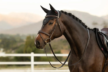 LeMieux Air-Tek Mesh Fly Hood Black| Online For Equine