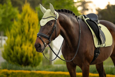 LeMieux Air-Tek Mesh Fly Hood Macaron| Online For Equine