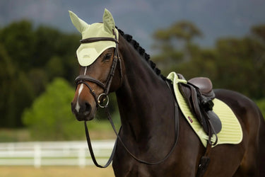 LeMieux Air-Tek Mesh Fly Hood Macaron| Online For Equine