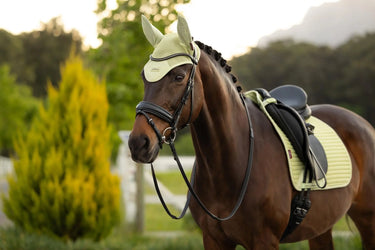 LeMieux Air-Tek Mesh Fly Hood Macaron| Online For Equine
