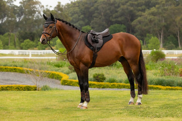 LeMieux Air-Tek Mesh Half Square Black| Online For Equine