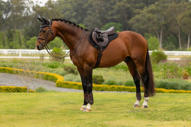 LeMieux Air-Tek Mesh Half Square Black| Online For Equine