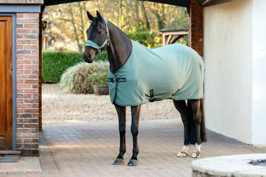 LeMieux Aloe Arika Jersey-Tek Aloe| Online For Equine