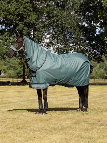 LeMieux Aloe Arika Ripstop 0g Turnout Rug Aloe| Online For Equine