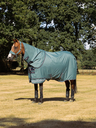 LeMieux Aloe Arika Ripstop 0g Turnout Rug Aloe| Online For Equine