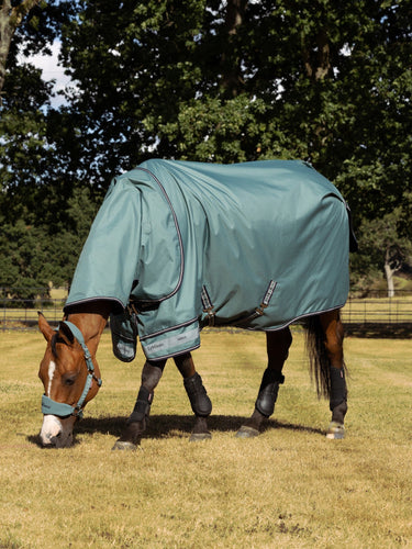 LeMieux Aloe Arika Ripstop 0g Turnout Rug Aloe| Online For Equine