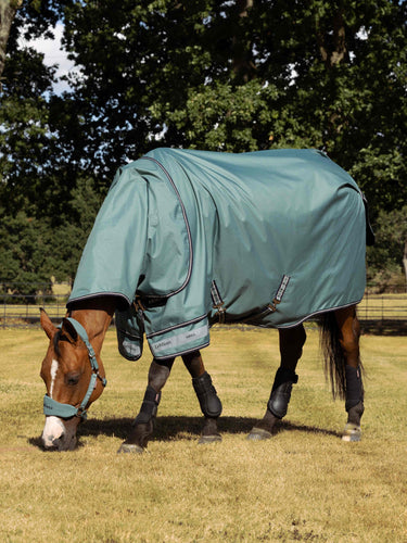LeMieux Aloe Arika Ripstop 100g Turnout Rug Aloe| Online For Equine