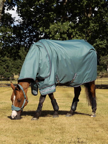 LeMieux Aloe Arika Ripstop 100g Turnout Rug Aloe| Online For Equine