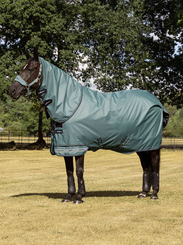 LeMieux Aloe Arika Ripstop 100g Turnout Rug Aloe| Online For Equine